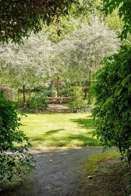 West Oasis - 6 Sleeps - Notting Hill * Londra